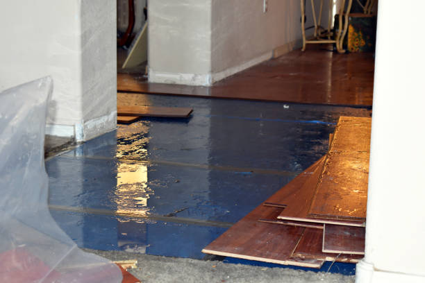Professional Sewage Cleanup technician working in Galesburg, IL