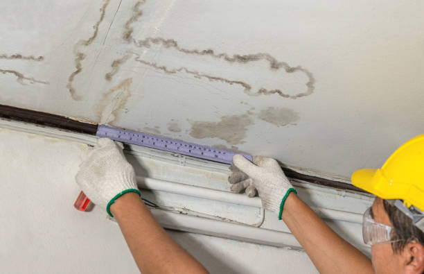 Reliable Sewage Cleanup contractor in Galesburg, IL by Water Damage Irwin